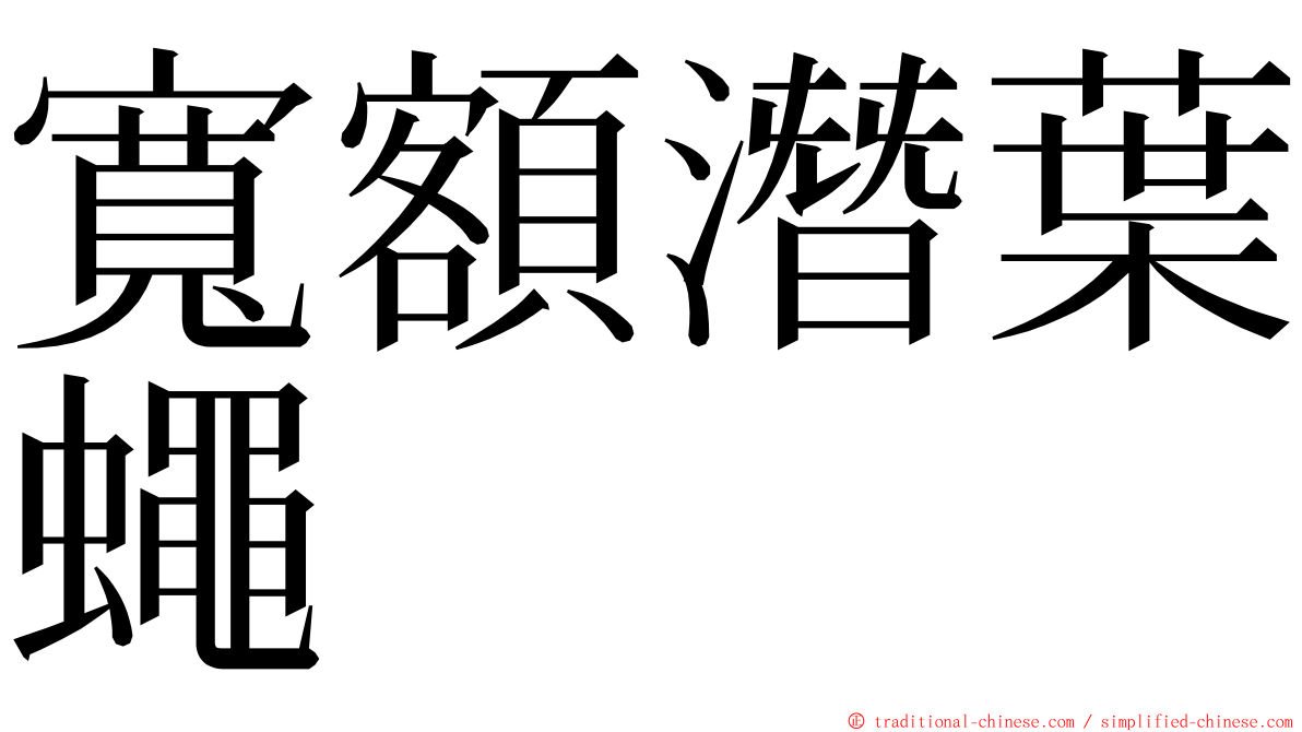 寬額潛葉蠅 ming font