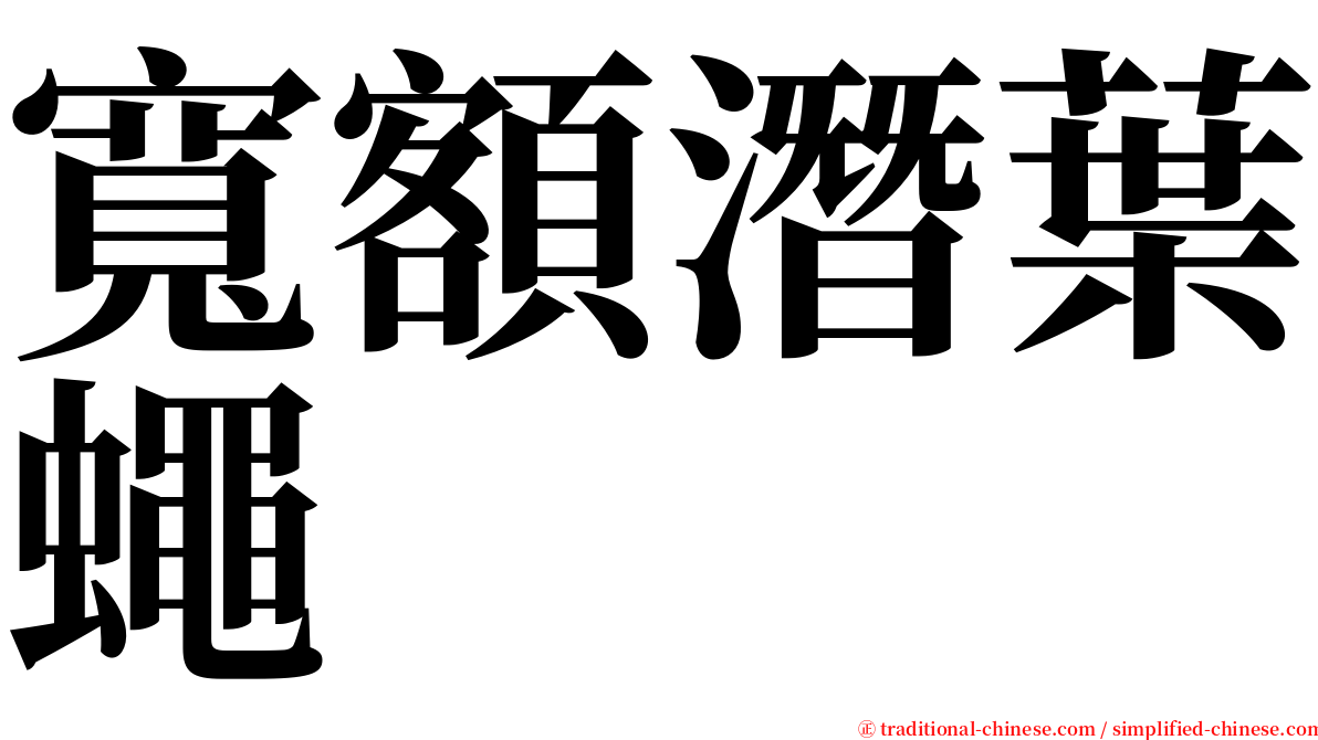 寬額潛葉蠅 serif font