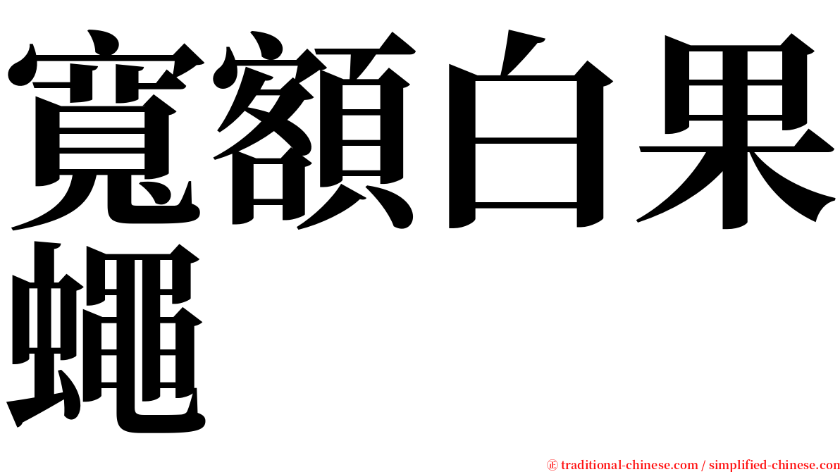 寬額白果蠅 serif font