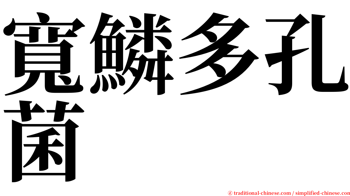 寬鱗多孔菌 serif font