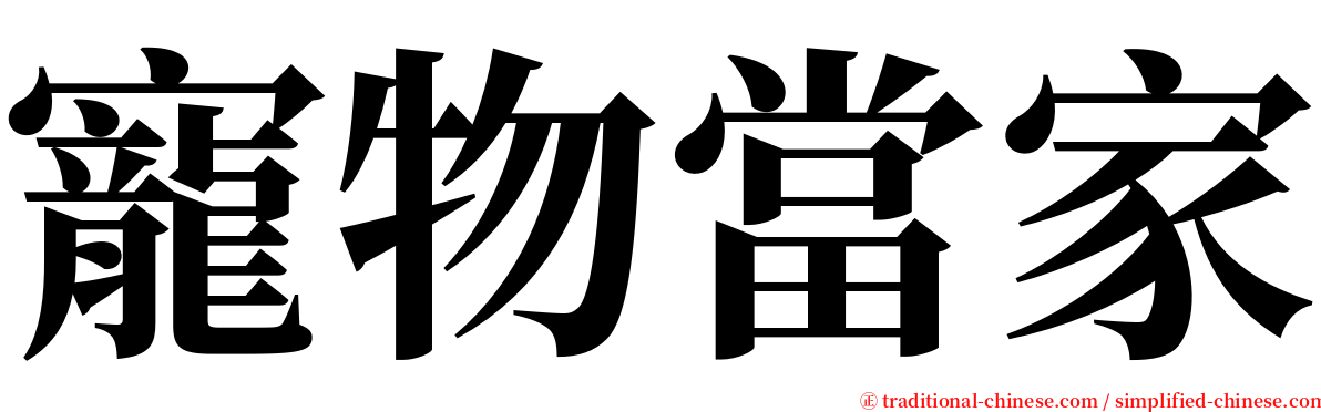 寵物當家 serif font