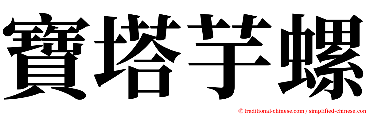 寶塔芋螺 serif font