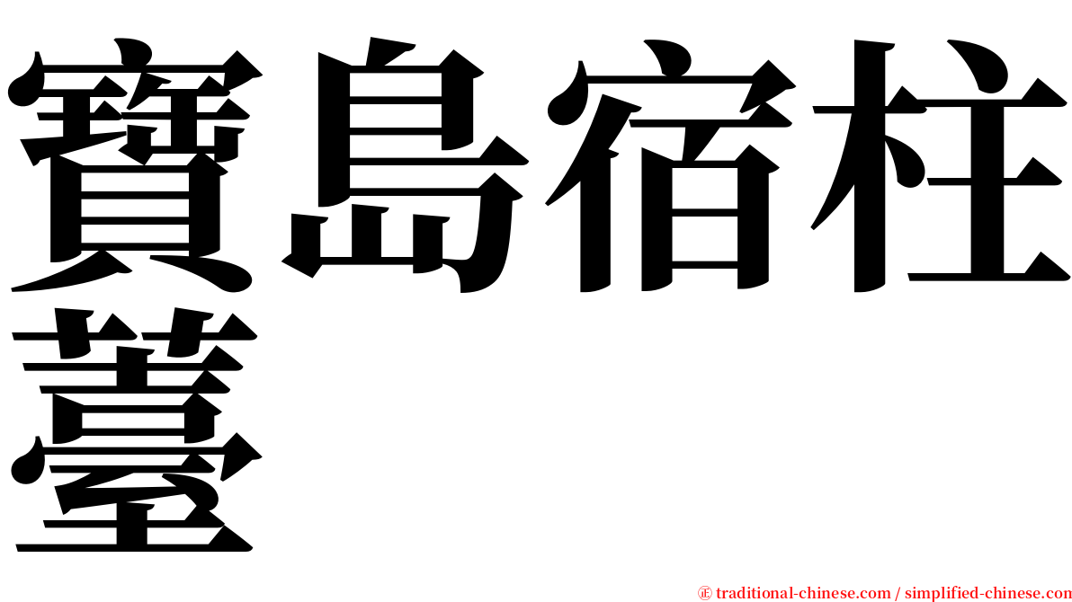 寶島宿柱薹 serif font