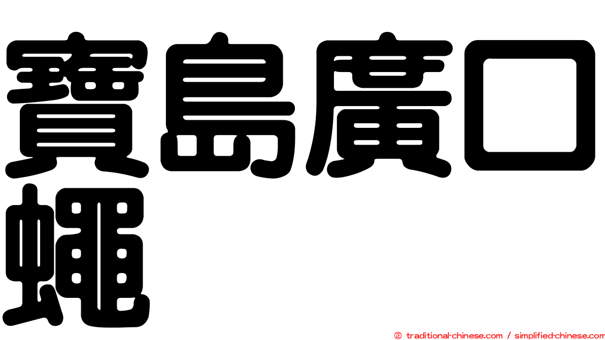 寶島廣口蠅