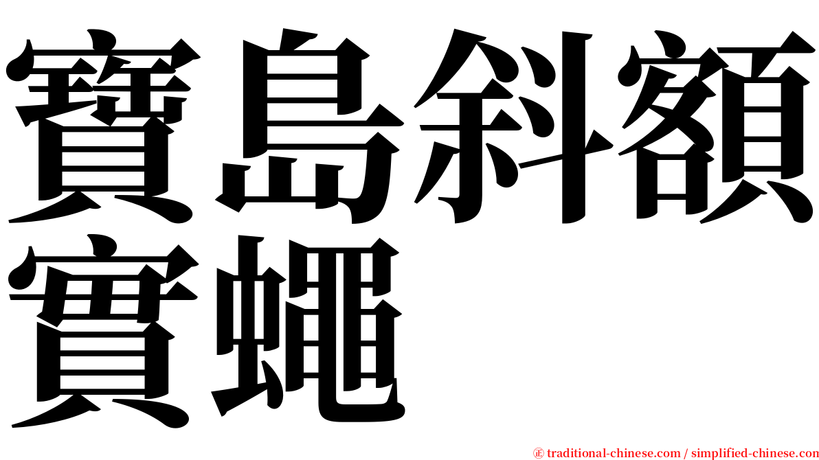 寶島斜額實蠅 serif font