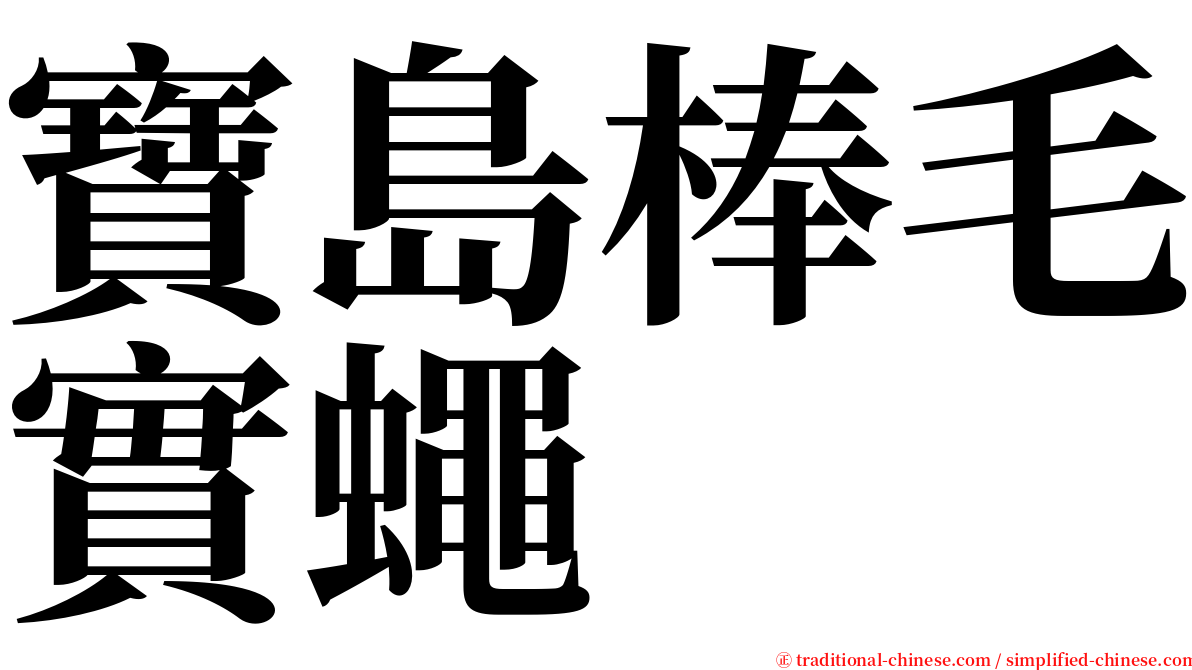 寶島棒毛實蠅 serif font