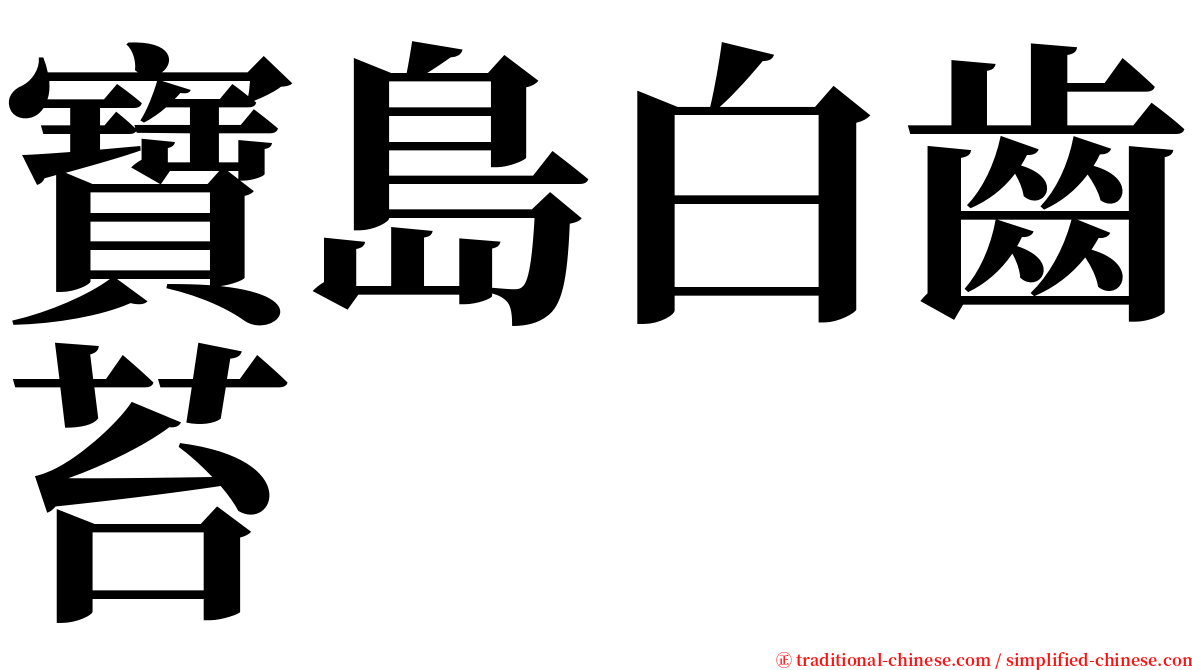寶島白齒苔 serif font