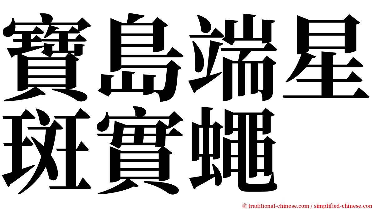 寶島端星斑實蠅 serif font