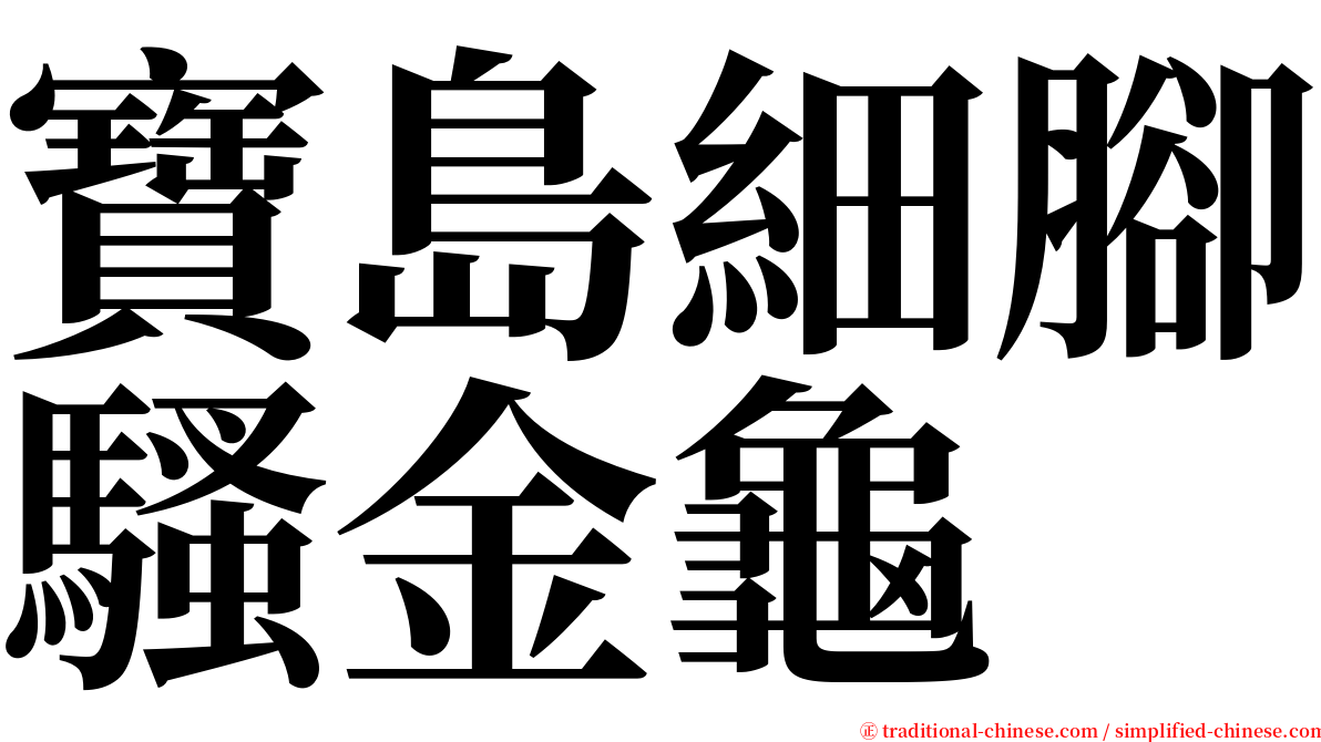 寶島細腳騷金龜 serif font