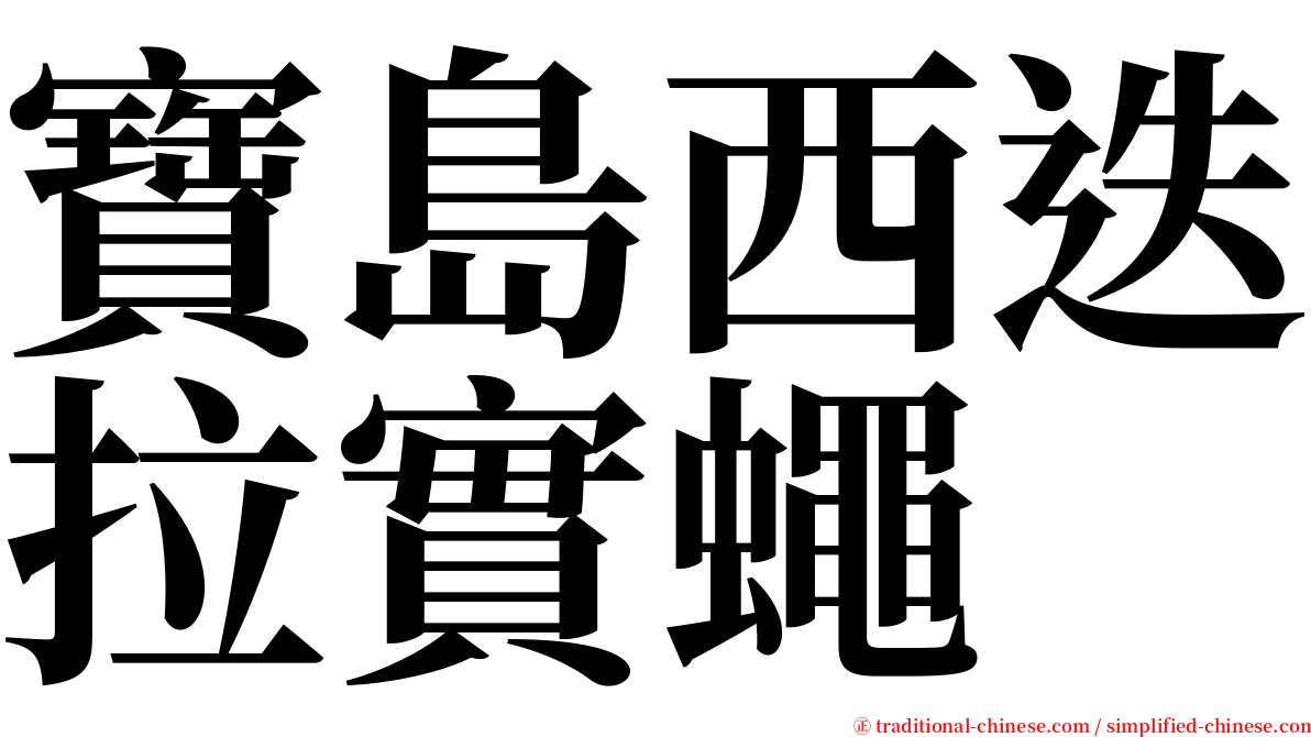 寶島西迭拉實蠅 serif font