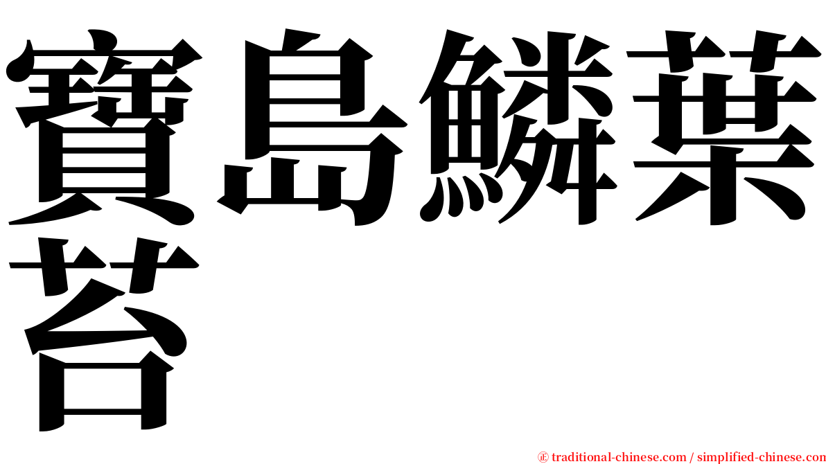 寶島鱗葉苔 serif font