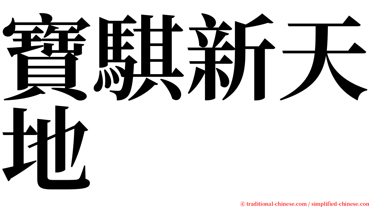 寶騏新天地 serif font