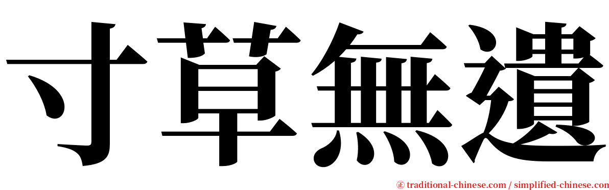 寸草無遺 serif font