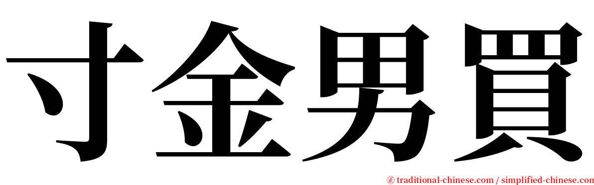 寸金男買 serif font