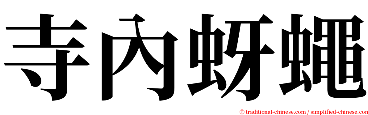 寺內蚜蠅 serif font