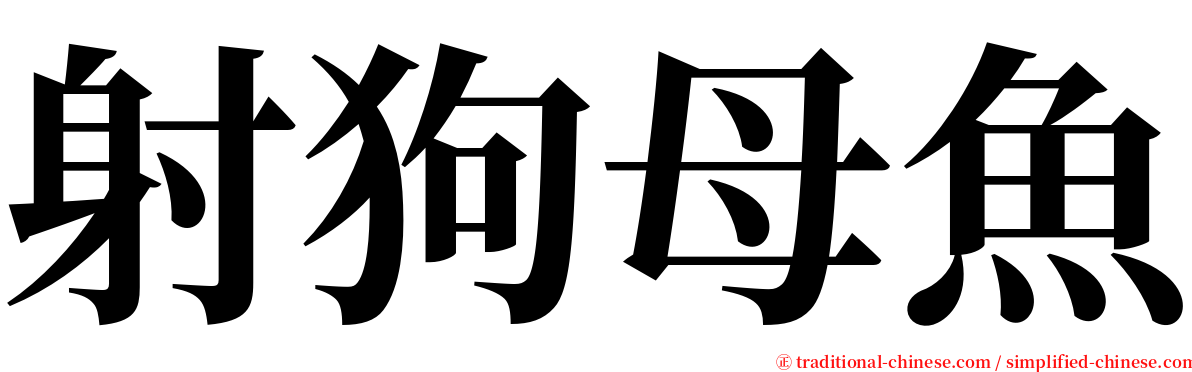 射狗母魚 serif font