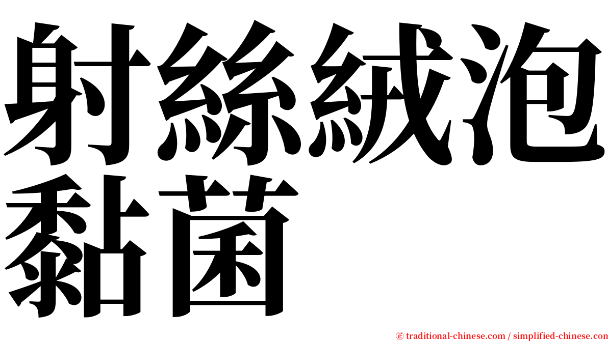 射絲絨泡黏菌 serif font