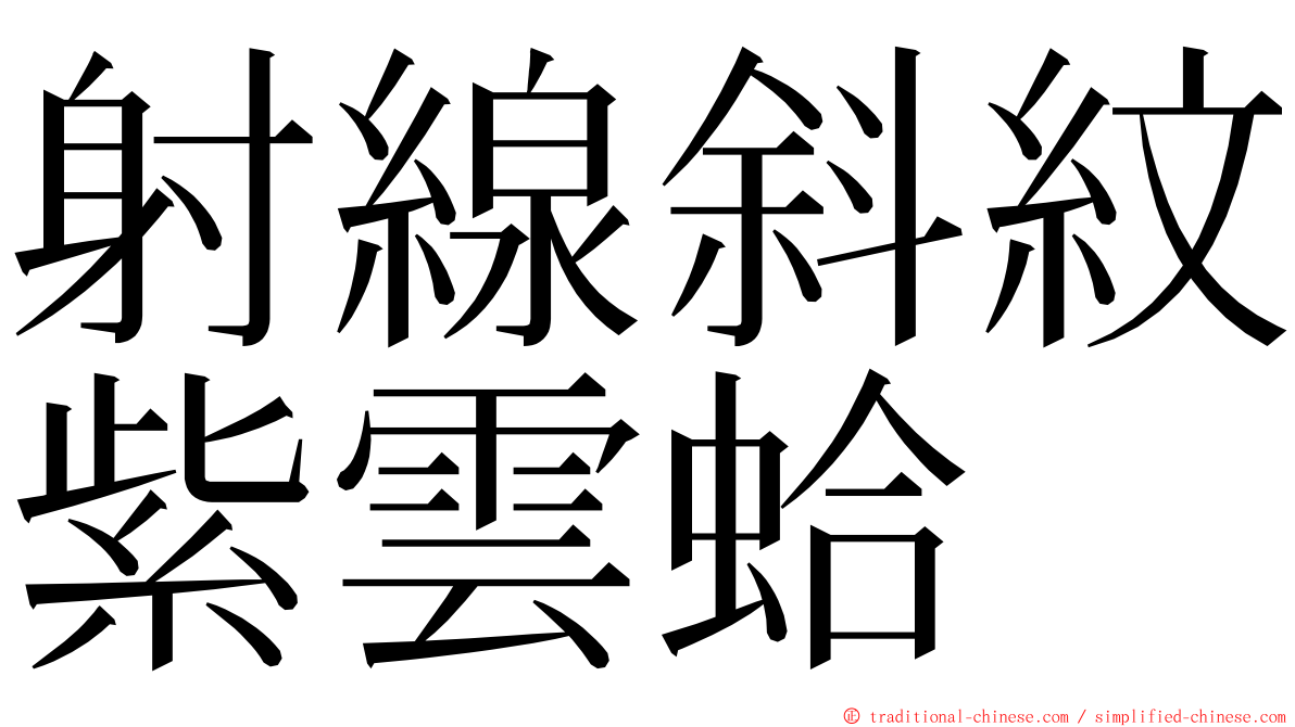 射線斜紋紫雲蛤 ming font