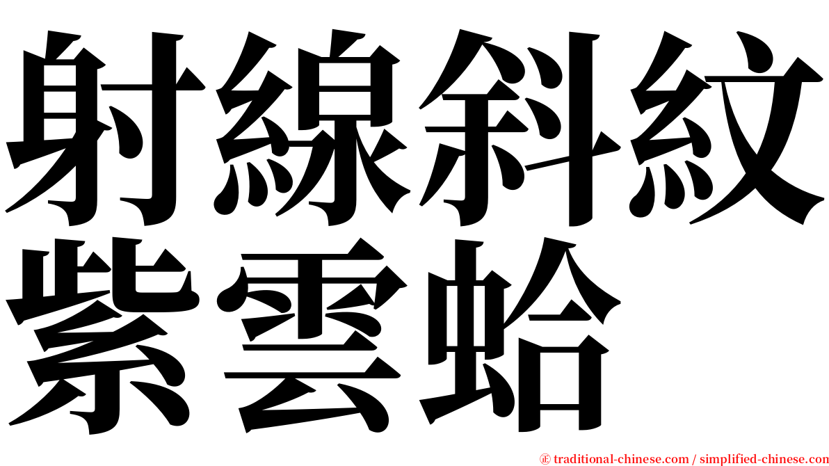 射線斜紋紫雲蛤 serif font