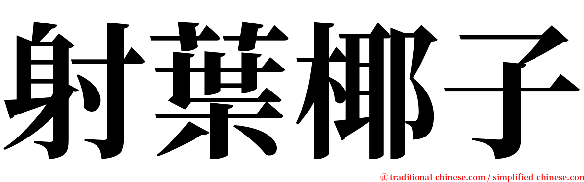 射葉椰子 serif font