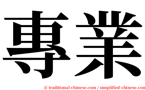 專業 serif font