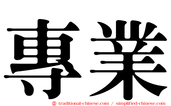 專業
