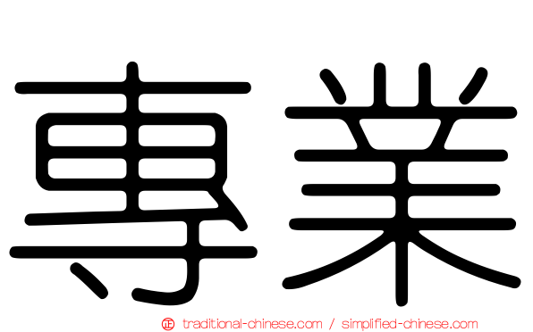 專業