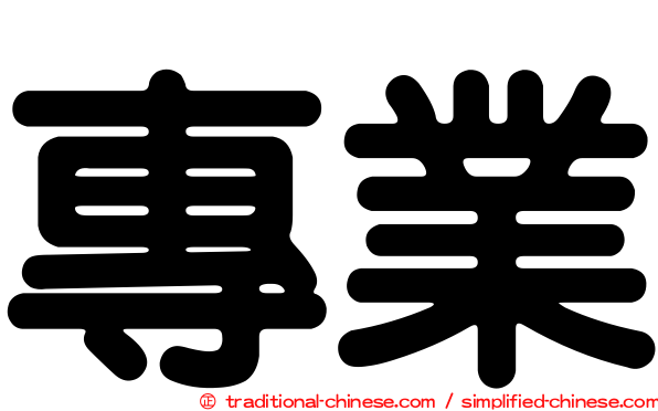 專業