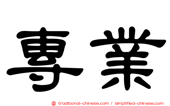 專業