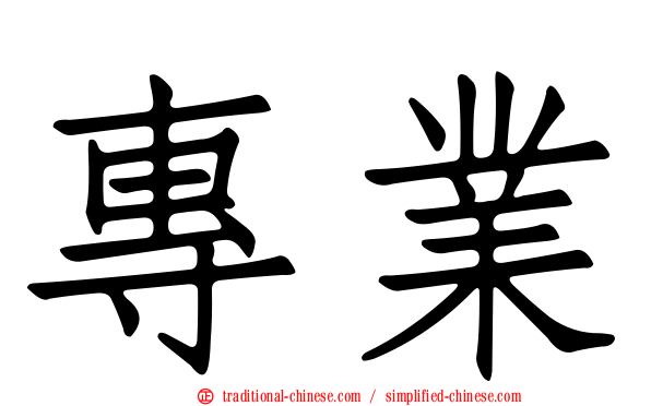 專業
