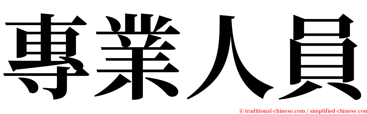 專業人員 serif font