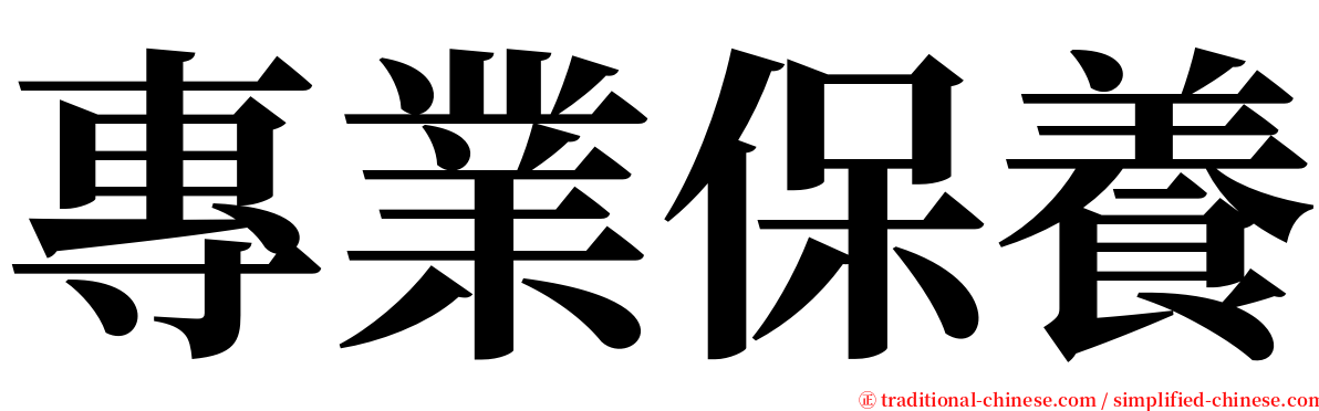 專業保養 serif font