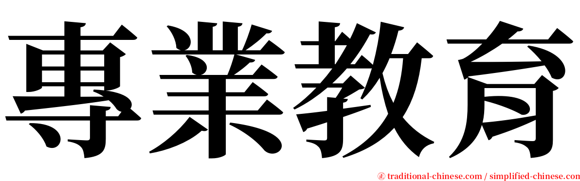 專業教育 serif font