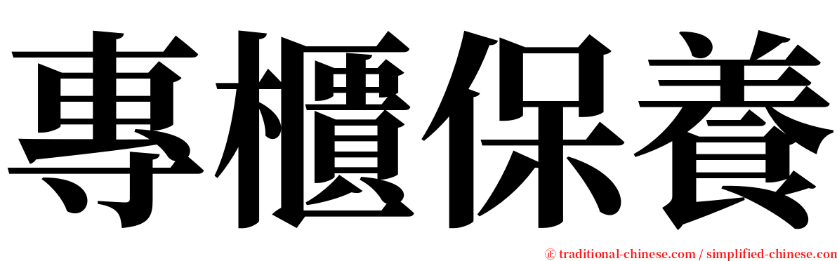 專櫃保養 serif font