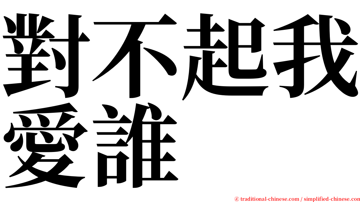 對不起我愛誰 serif font