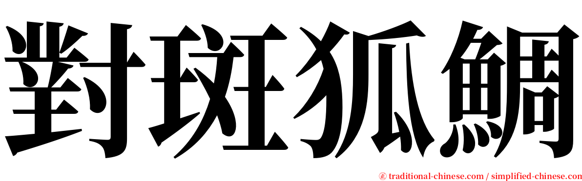 對斑狐鯛 serif font