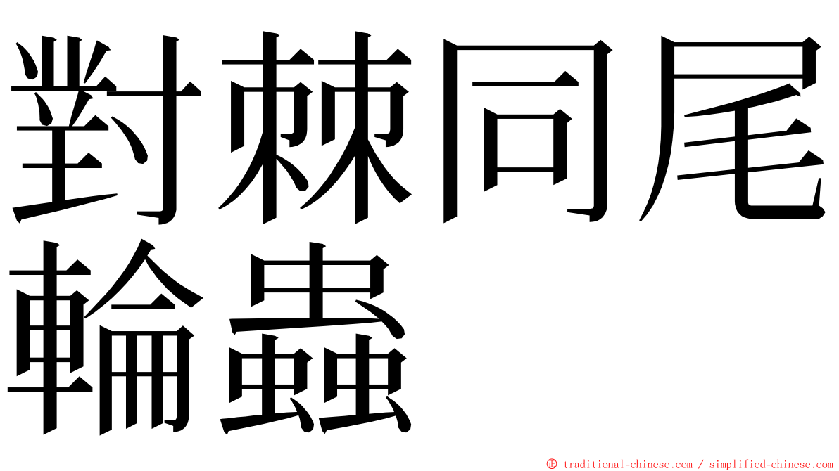 對棘同尾輪蟲 ming font