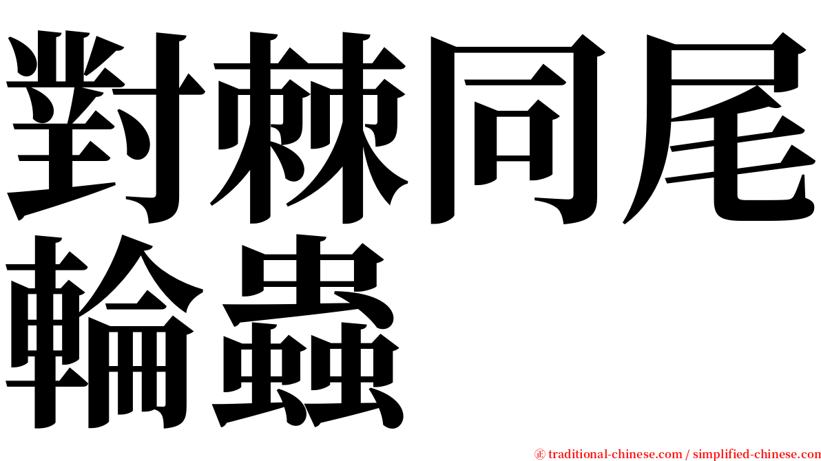 對棘同尾輪蟲 serif font