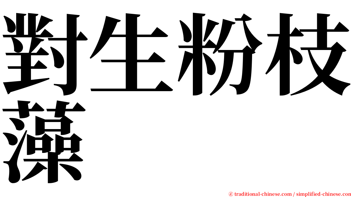 對生粉枝藻 serif font