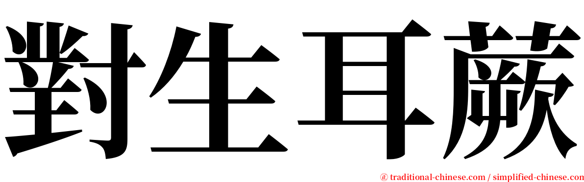 對生耳蕨 serif font