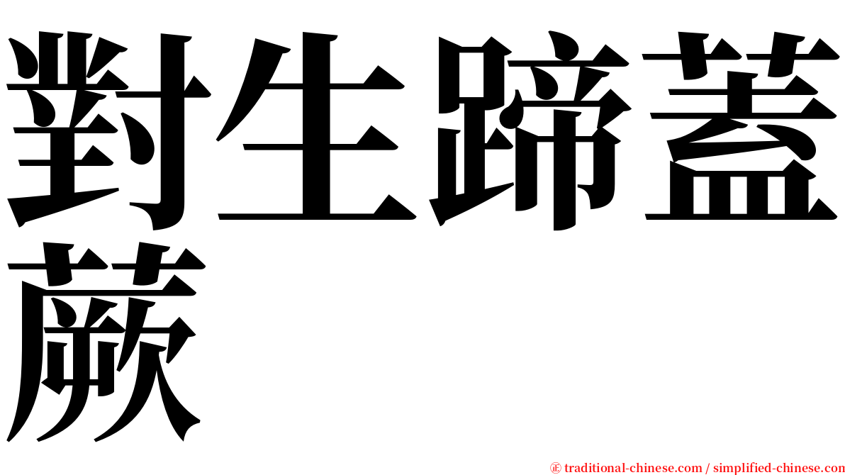 對生蹄蓋蕨 serif font