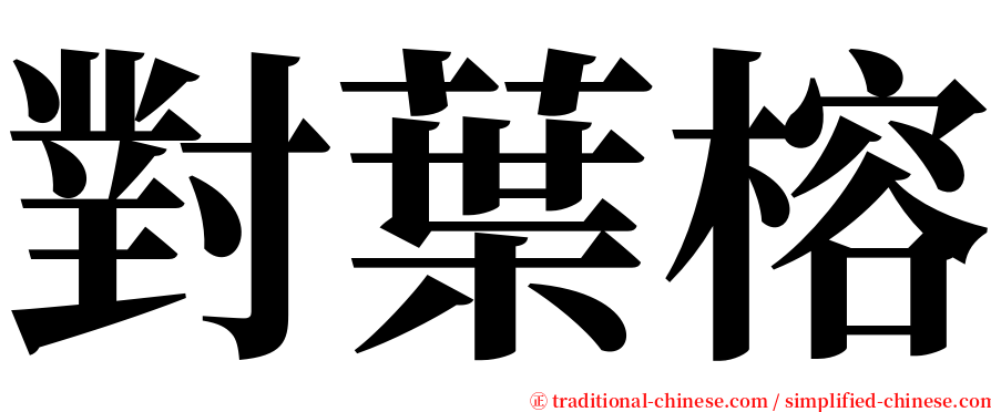 對葉榕 serif font