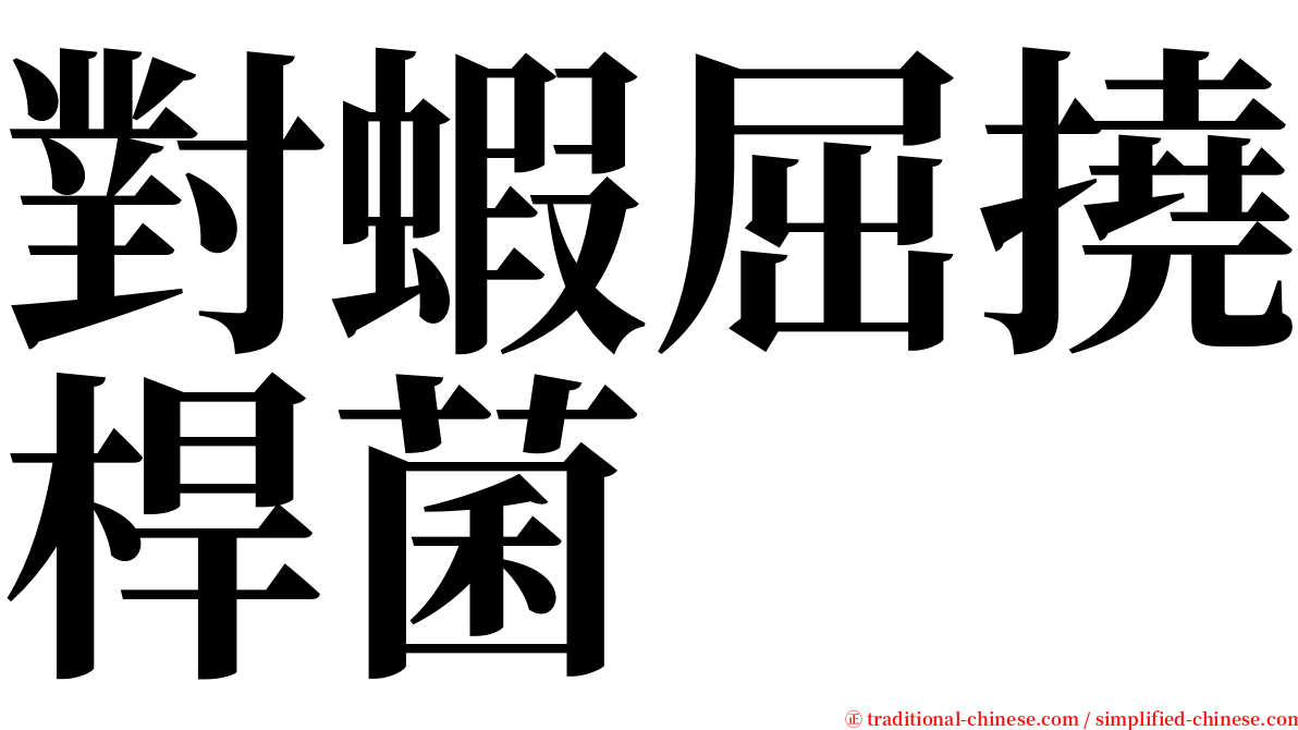 對蝦屈撓桿菌 serif font