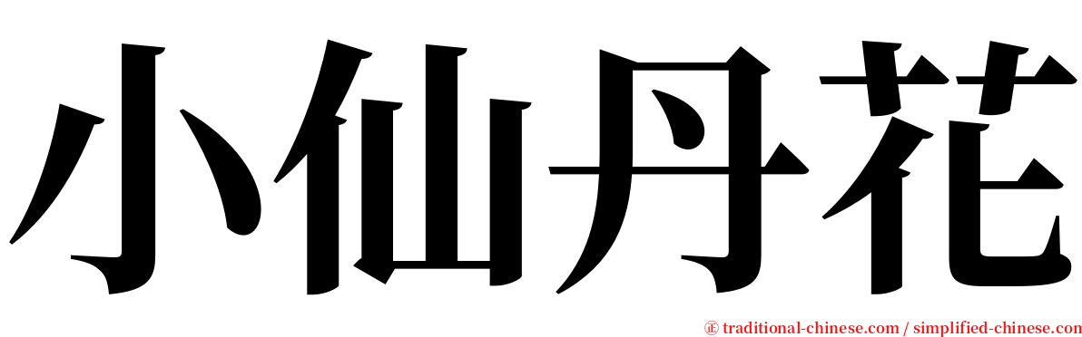 小仙丹花 serif font