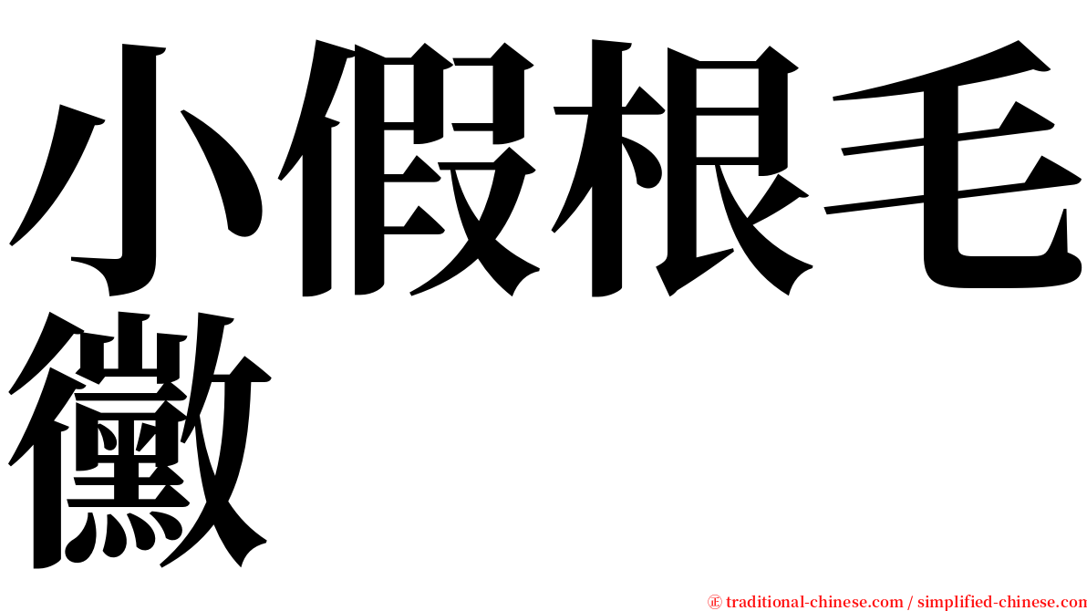 小假根毛黴 serif font