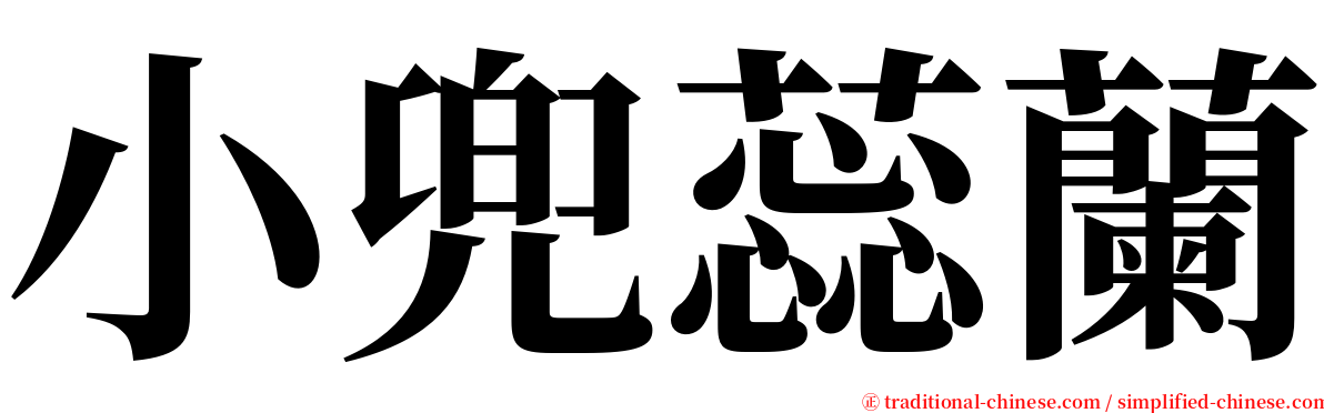 小兜蕊蘭 serif font