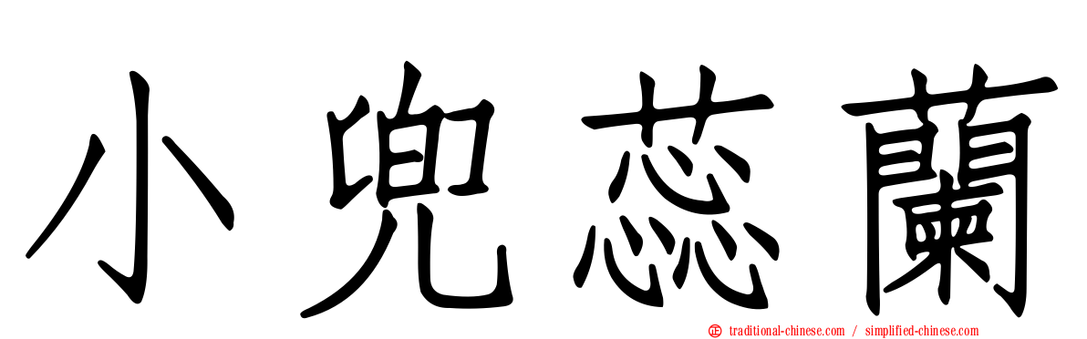 小兜蕊蘭