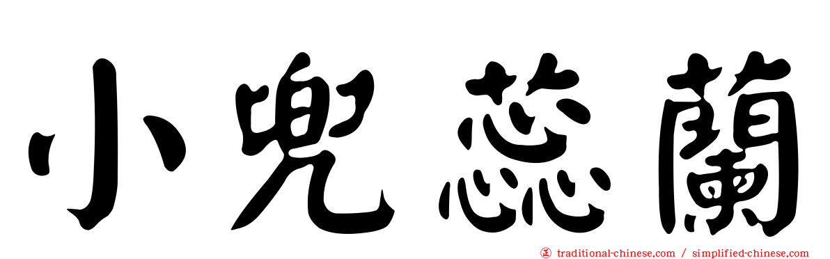小兜蕊蘭