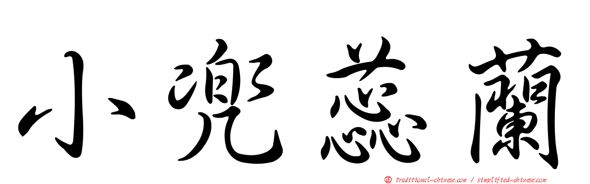 小兜蕊蘭