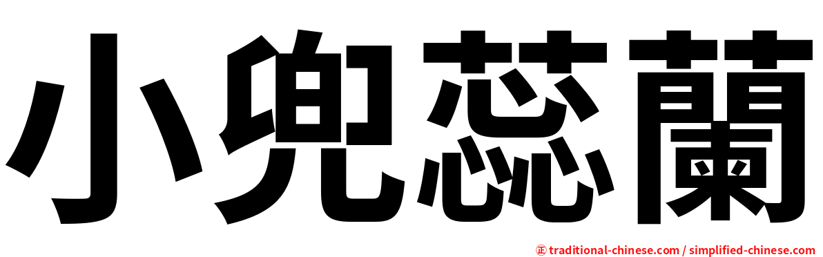 小兜蕊蘭